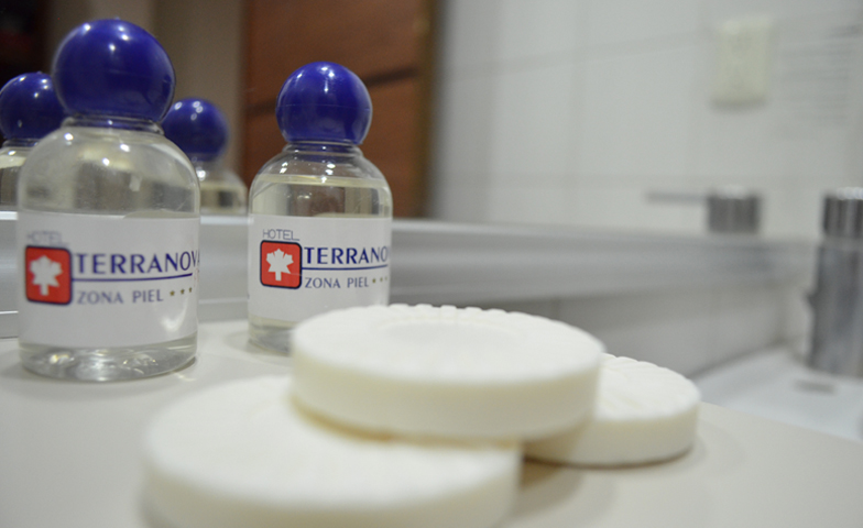 Galeria de Fotos Hotel Terranova Leon